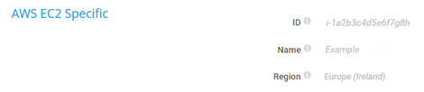 AWS EC2 Specific AWS EC2 Specific